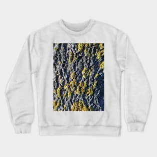 Bark and yellow lichen Crewneck Sweatshirt